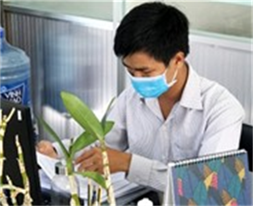 Bình Thuận triển khai các biện pháp cấp bách phòng, chống dịch